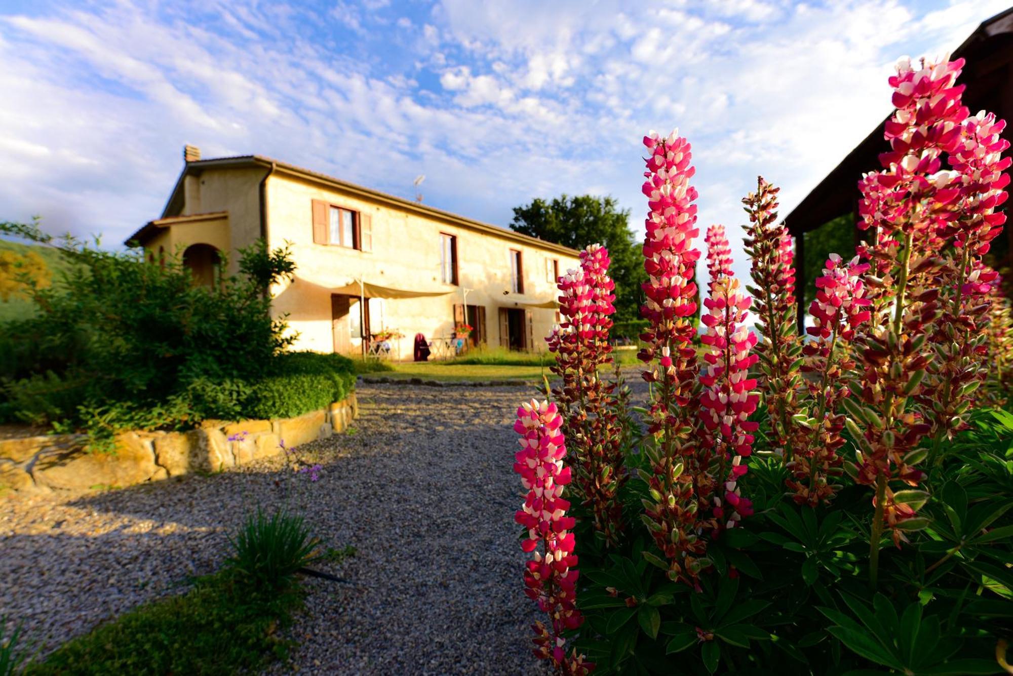 Agriturismo Le Casaline Seggiano Bagian luar foto
