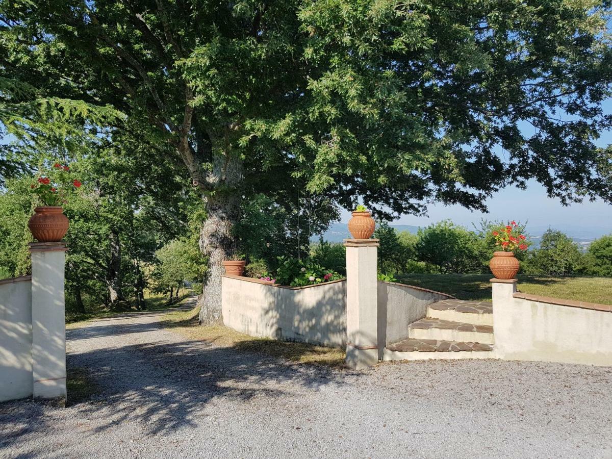 Agriturismo Le Casaline Seggiano Bagian luar foto