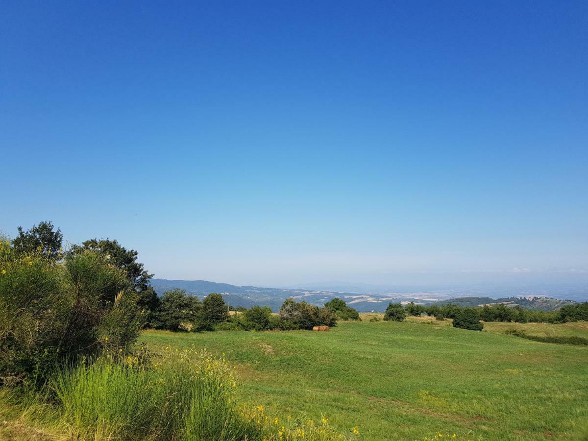 Agriturismo Le Casaline Seggiano Bagian luar foto