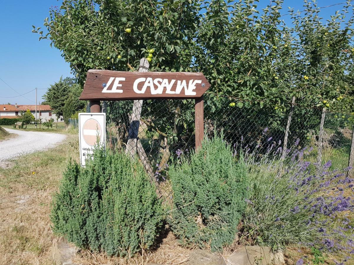 Agriturismo Le Casaline Seggiano Bagian luar foto